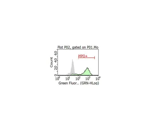 62-8513-09　［Discontinued］Anti-Myeloperoxidase Antibody, clone CLB-MPO-1/1,7.17, FITC conjugate　MABF941