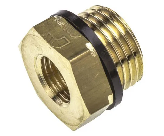 63-7437-78 Legris Brass 1/2 in BSPP Male x 1/4 in BSPP Female Straight Reducer Threaded Fitting 0168 21 13