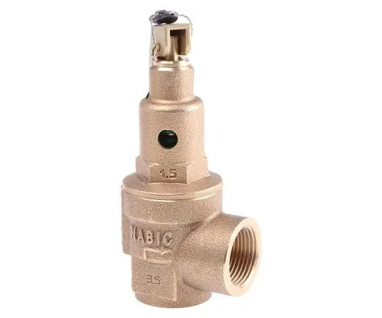 63-7519-90 Nabic Valve Safety Products 2.5bar Pressure Relief Valve With Female BSP 3/4 in BSP Female Connection and a BSP 3/4 N-542-020 2.5 BAR