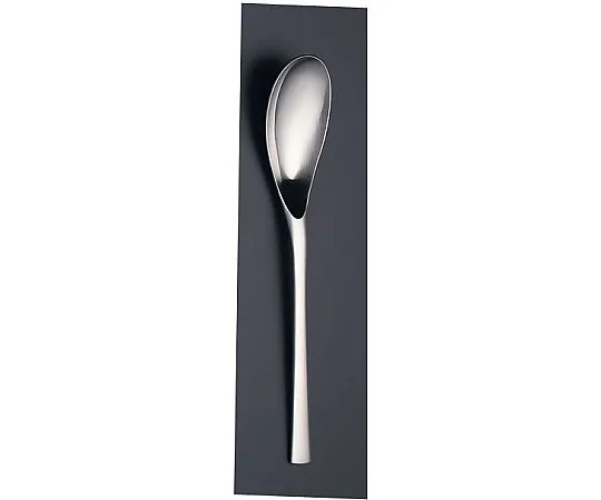 62-6712-09 18-10 Ami Large Spoon OAM2106
