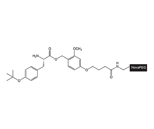 61-0405-53　［Discontinued］H-Tyr(Tbu)-Hmpb Novapeg Resin 856184 1G　8.56184.0001