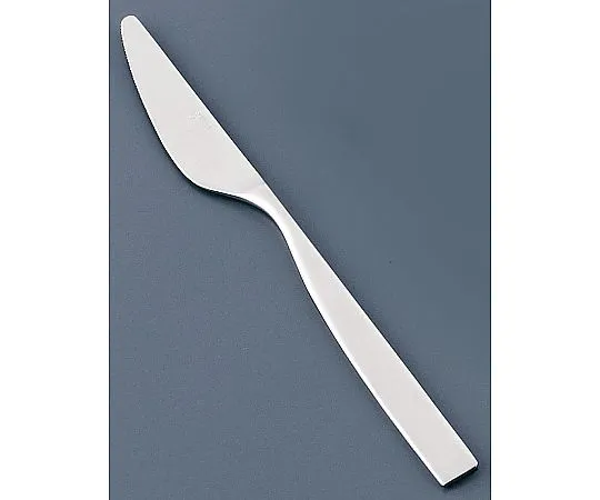 62-6719-43 18-8 SUNAO Dinner Knife