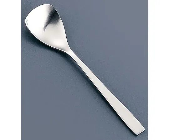 62-6719-49 18-8 SUNAO Ice Cream Spoon
