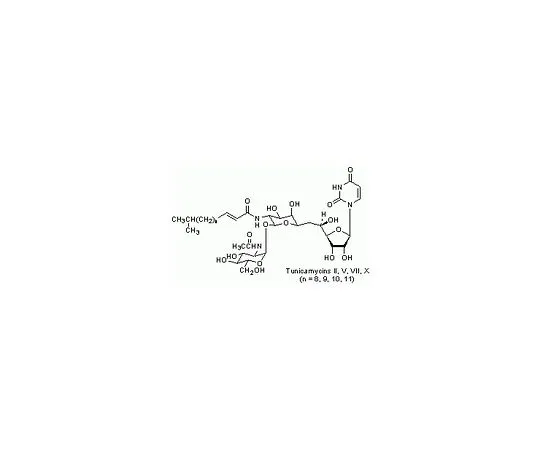 62-8442-35　［Discontinued］Tunicamycin, Streptomyces lysosuperficus　654380-50MG