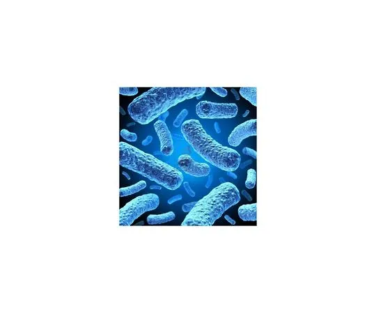 62-8402-55　［Discontinued］Origami(TM) B(DE3)pLacI Competent Cells　70838-3