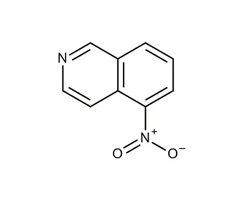 61-0381-75　［Discontinued］5-Nitroisoquinoline for Synthesis 843161 25G　8.43161.0025