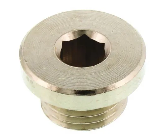 63-7510-94 Legris Brass G 1/4 Corrosion Resistant Plug 0919 00 13
