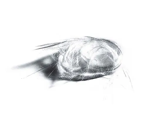 61-0294-69　［Discontinued］Glass Fiber 104086 250G　1.04086.0250