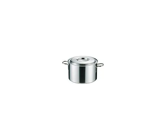 62-6334-52 Prodenge Half-size Hotpot 48 cm