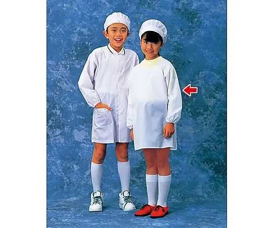 62-6636-09 School Lunch Clothes (White) No. 2 SKV361