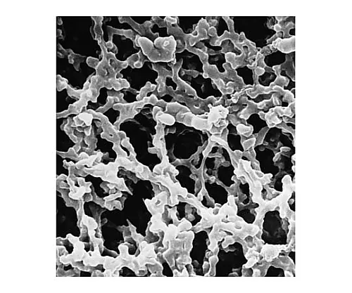 61-0277-10　［Discontinued］MF Disc MCE Philic 0.1μm 293mm Wh Pln 25/Pk 25 x 1ST　VCWP29325