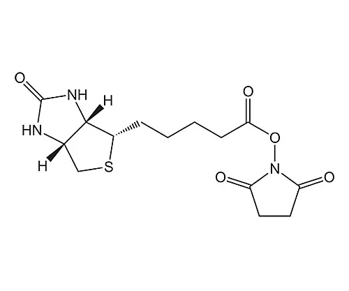 61-0383-81　［Discontinued］Biotin-OSu 851023 1G　8510230001