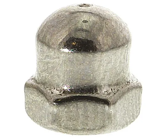 63-7447-73 M4 A4 316 Plain Stainless Steel Dome Nut 248-4466