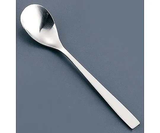 62-6719-48 18-8 SUNAO teaspoon