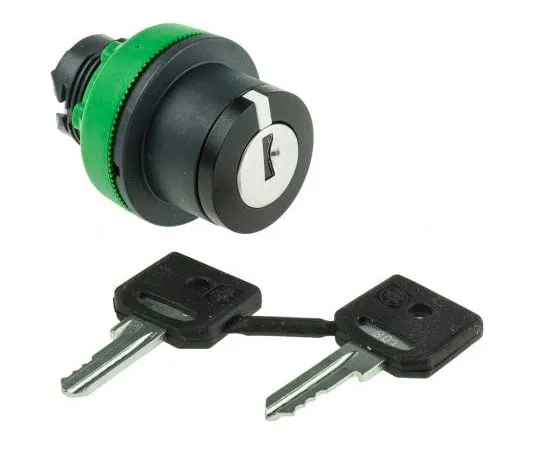 63-7389-46 Schneider Electric Harmony XB5 2 Position Selector Switch Head Latching ZB5FG02D