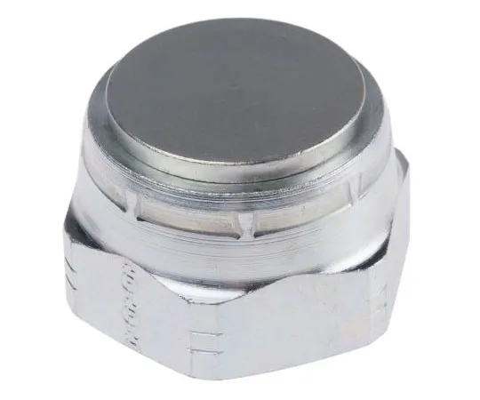 63-7410-64 G 1 Steel Hydraulic Blanking Cap, 210 bar Max Operating Pressure 16FNMK4S