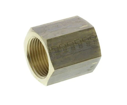 63-7484-74 Legris Brass 3/4 in BSPP Female x 3/4 in BSPP Female Straight Coupler Threaded Fitting 0155 27 27