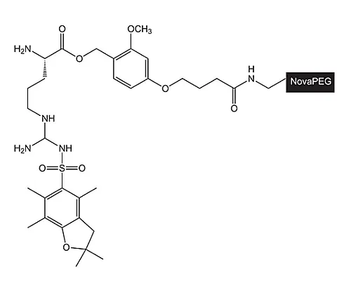 61-0405-25　［Discontinued］H-Arg(Pbf)-Hmpb Novapeg Resin 856167 1G　8.56167.0001