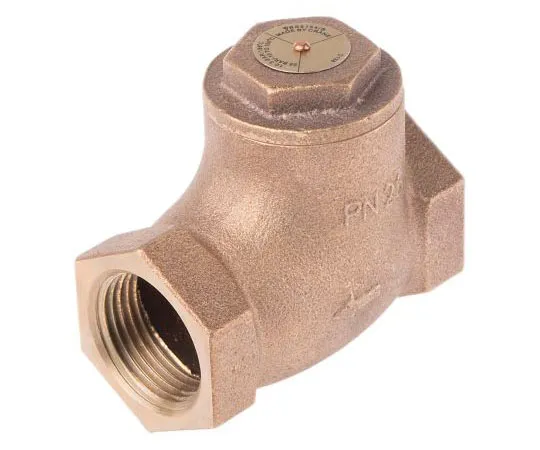 63-7465-69 RS PRO Bronze Single Non Return Valve 1 in BSPT 284-2727