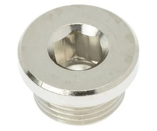 63-7510-95 Legris Brass G 3/8 Corrosion Resistant Plug 0900 00 13