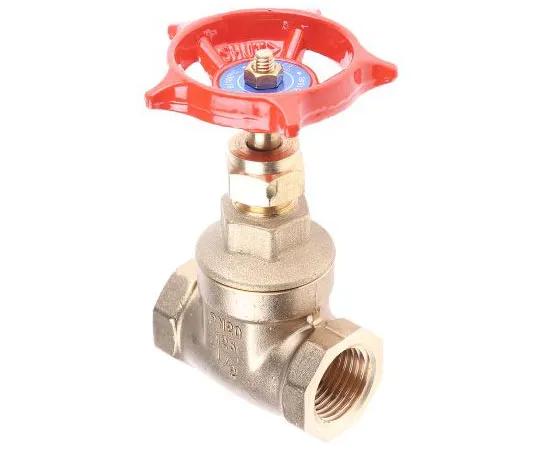 63-7455-50 Legris Gate Valve, 1/2in 261-0299