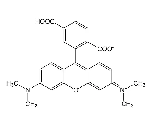 61-0384-61　［Discontinued］6-Carboxy-Tetramethylrhodamine 851073 10mg　8510738010