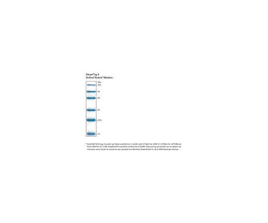 62-8405-02　［Discontinued］Strep⋅Tag(R) II Perfect Protein(TM) Markers, 16-100 kDa, Lyophilized　71614-3