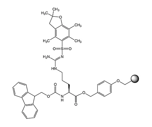 61-0404-12　［Discontinued］Fmoc-Arg(Pbf)-Wang Resin LL 856105 1G　8561050001