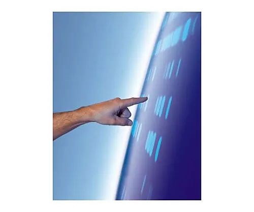 61-0297-96　［Discontinued］Proteochrom HPTLC Aluminum Sheet Cellulose for Peptide Analysis 10 x 10cm 105651 1Unit　1.05651.0001