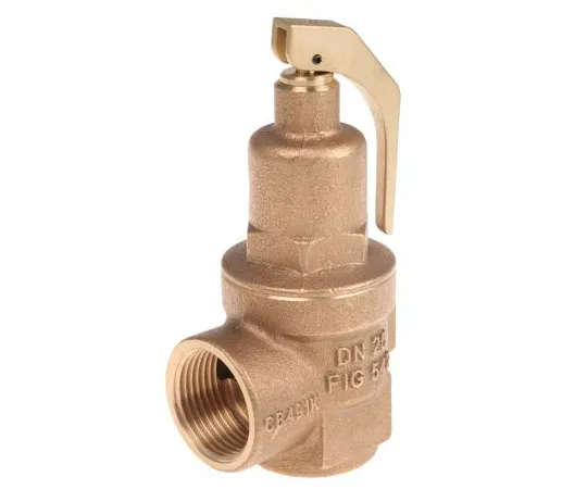63-7519-98 Nabic Valve Safety Products 5bar Pressure Relief Valve With Female BSP 1 in BSP Female Connection and a BSP 1 Exhaust N-542-025 5 BAR