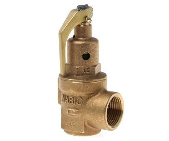 63-7519-91 Nabic Valve Safety Products 3bar Pressure Relief Valve With Female BSP 1 in BSP Female Connection and a BSP 1 Exhaust N-542-025 3 BAR