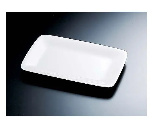 62-6671-47 Square Platter 10 in D-154