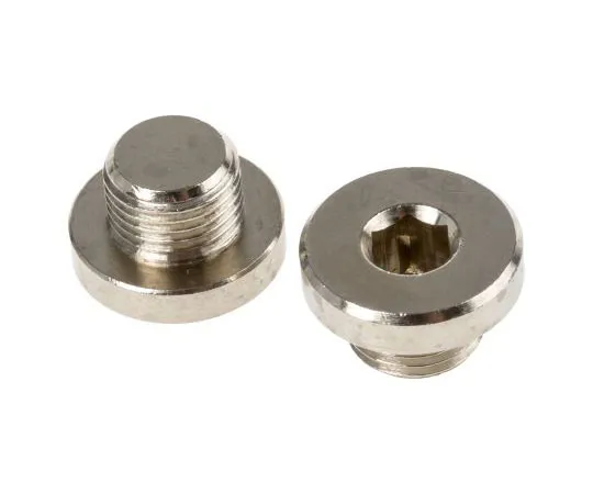 63-7510-93 Legris Brass G 1/8 Corrosion Resistant Plug 0919 00 10