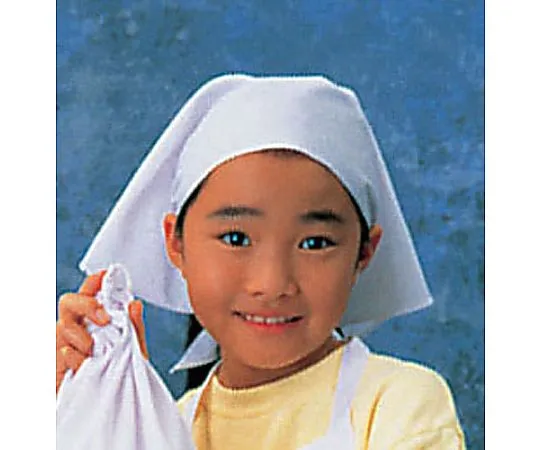 62-6636-29 Triangle Cloth (White) SKV364