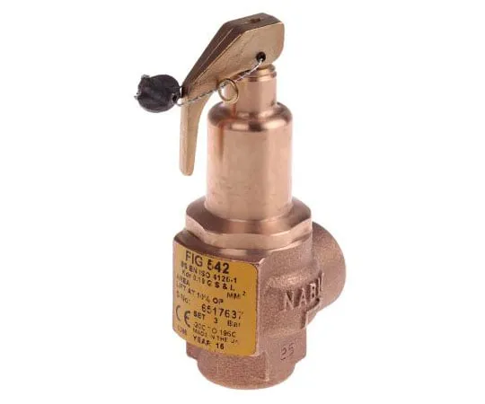 63-7519-89 Nabic Valve Safety Products 3bar Pressure Relief Valve With Female BSP 1/2 in BSP Female Connection and a BSP 1/2 N-542-015 3 BAR