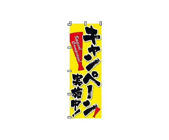 62-6317-45 Nobori Campaign 2-11-008