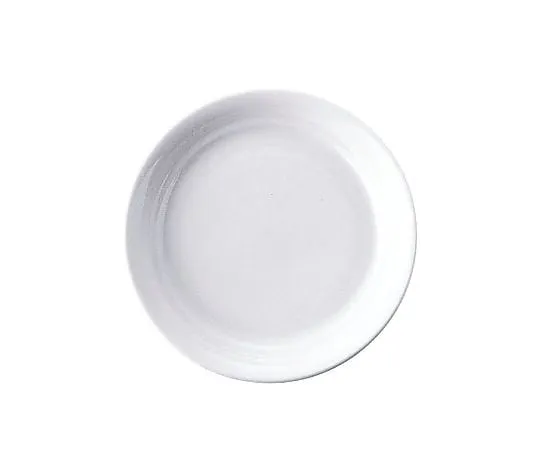 62-6833-01 Casual Wear Plate 16 cm RPL57