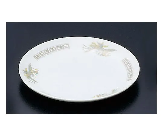 62-6847-39 Pottery "Kaminarimon Ho-o" 8 inches flat plate K-5