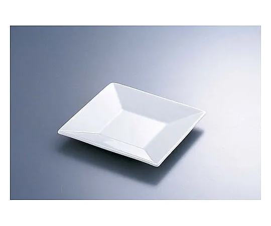 62-6840-74 13.5 cm Plate C-181