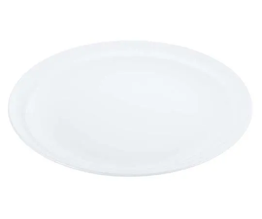 63-7194-65 Super Ceramic Half Rim Large Plate 10inch 8179200
