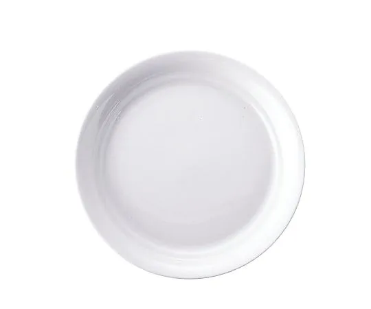 62-6832-98 Casual Wear Plate 23.5 cm RPL55