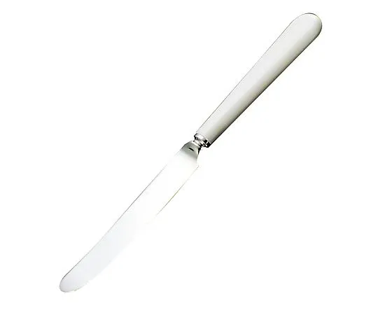 69-5198-24　Stainless Steel #3110 Festival Dessert Knife with Saw Blade White　4505000