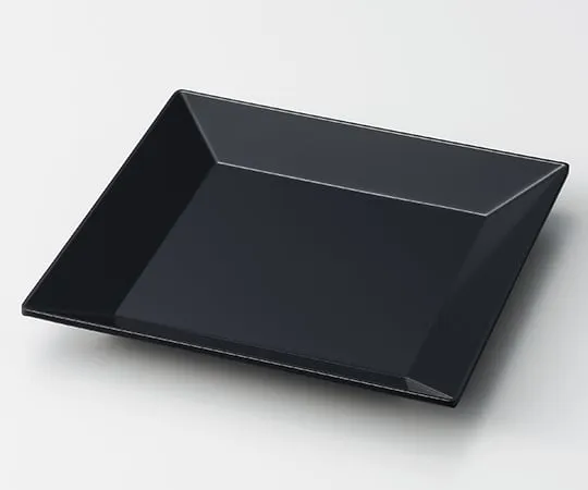 63-1289-24 Square Plate Black SP-11B
