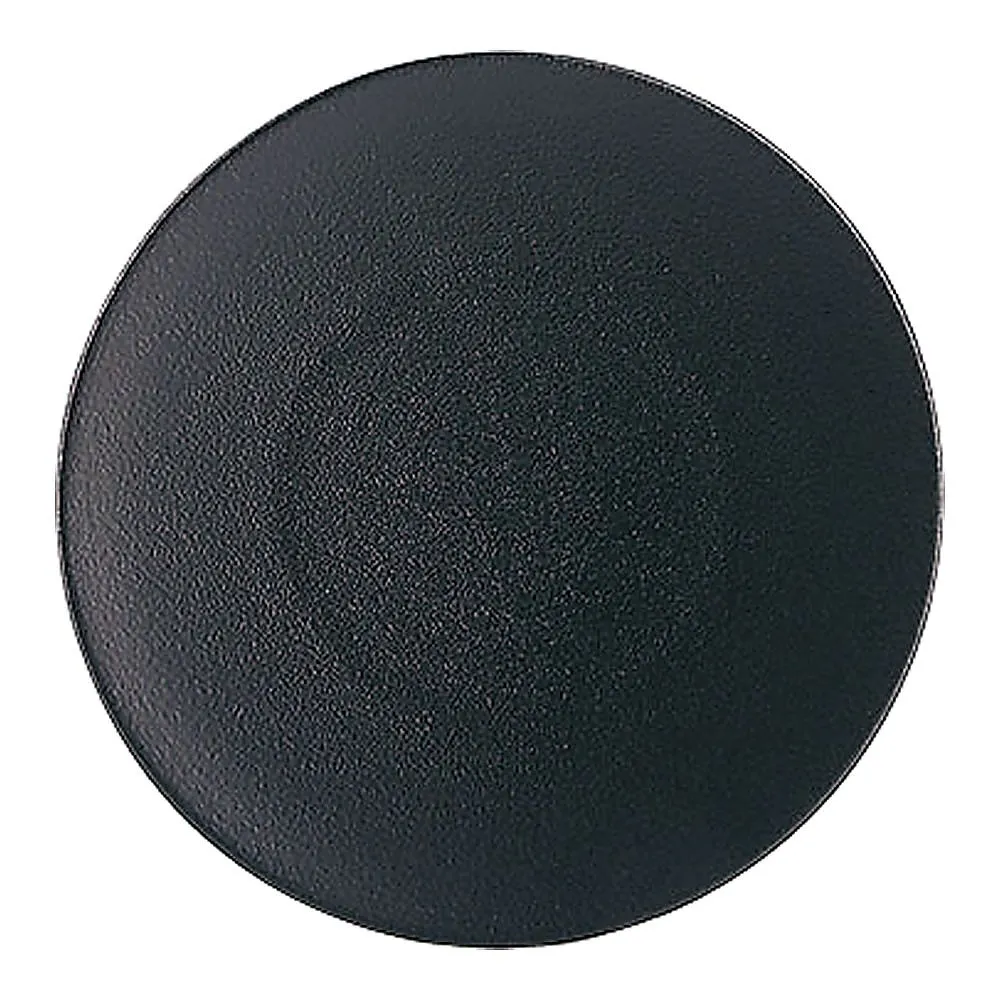 62-6821-52 Echinox Dessert Plate 21.5 cm Cast Iron 649495