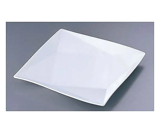62-6840-89 Origami 25 cm Plate C-37