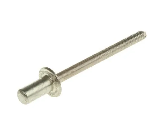 63-7602-29 Plain Stainless Steel Blind Rivet, 4.8mm diameter, 3.2 → 4.8 mm Thickness TD606GT