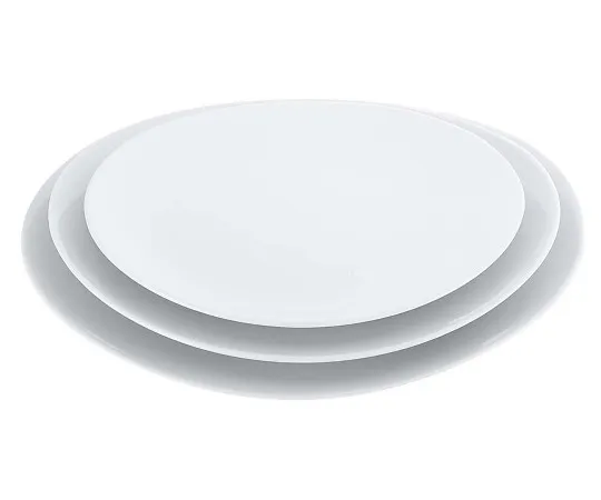63-7194-93 Porcelain Chinese/Western Dishes White Oval Dish 25 cm 8179520
