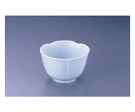 62-6841-99 12-AZ11 Blue White Porcelain Ume Kobachi