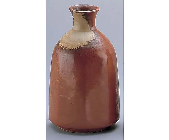 62-6819-26 Iga Ash Glaze Hakkaku Tokudai D03-40