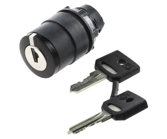 63-7632-05 Schneider Electric Harmony XB5 2 Position Key Switch Head Latching ZB5AG212